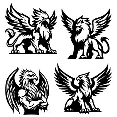 Griffin Vector Bundle