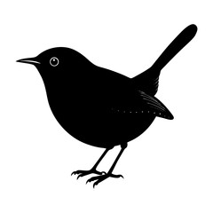 Wren Silhouette vector illustration