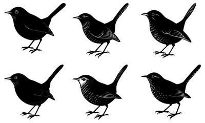 Wren Silhouette vector illustration