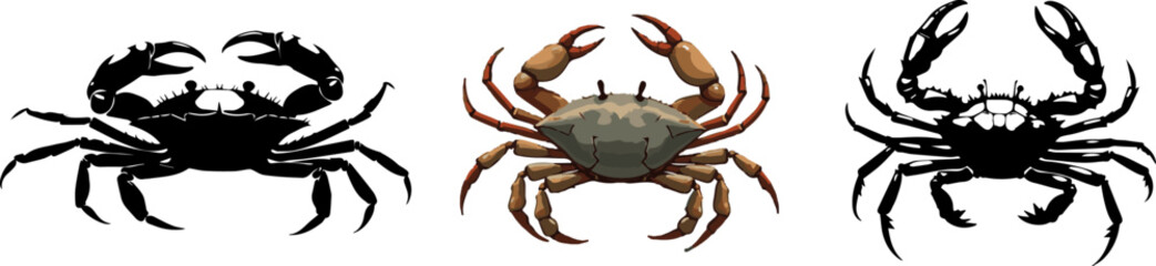 Crab Vector Set - Silhouette and Realistic Marine Crustacean Illustrations