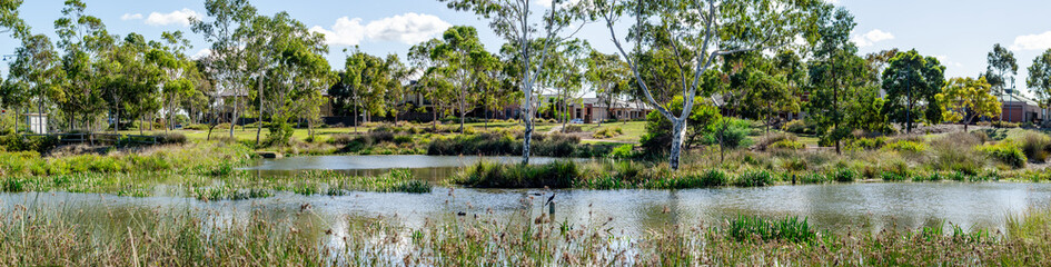 Panoramic view of a natural wetland in Manor Lakes, Melbourne, Australia, with native trees, reeds,...