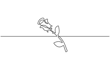 Flower in continuous line art drawing style. Rose flower minimalist black linear design isolated on white background. Vector illustration