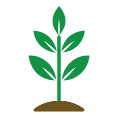 Plants colorful vector icon on white background