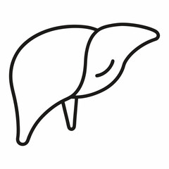 liver outline icon on white background
