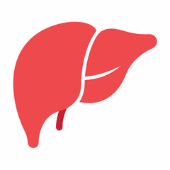 human liver organ vector icon on white background