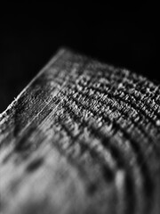 Wood texture