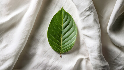 Top-down view of guava leaf on white linen fabric, soft shadows, organic mood, clean layout for natural skincare branding.