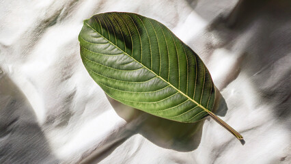 Top-down view of guava leaf on white linen fabric, soft shadows, organic mood, clean layout for natural skincare branding.