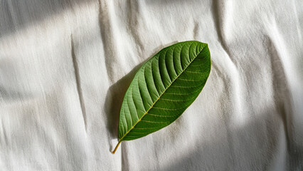 Top-down view of guava leaf on white linen fabric, soft shadows, organic mood, clean layout for natural skincare branding.