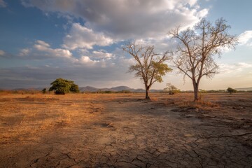 Naklejka premium The harsh beauty of an arid landscape, with cracked earth and a dramatic sky at sunset.