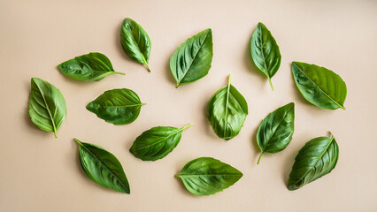 Multiple holy basil leaves scattered on a light beige background, clean flat lay style, high-resolution for herbal and natural design use.