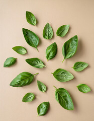 Multiple holy basil leaves scattered on a light beige background, clean flat lay style, high-resolution for herbal and natural design use.