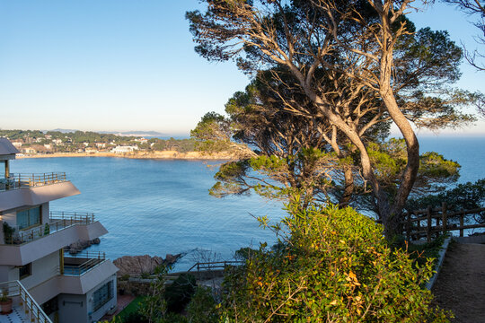 View of residential buildings and pine trees overlooking the sea in Costa Brava, Catalonia, Spain, ideal for real estate, vacation, and tourism promotions.