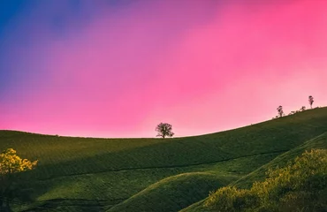 Fototapeten landscape with rainbow © Tarunno