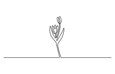 Tulip flower outline drawing illustration. one continuous line drawing of tulip flower. Nature concept.
