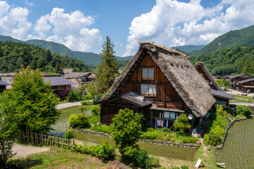 Traditional houses and rice fields in Shirakawa-go, rural Japan