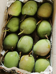Raw mangoes carefully packed in a cardboard box with newspaper lining for safe transport and storage, ideal for trade, sale, or gifting.