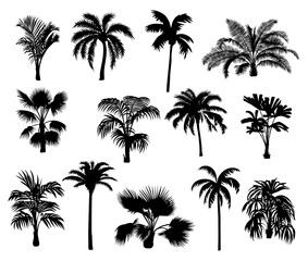 Set of different palm tree black silhouettes. Hand drawn vector illustrations isolated on transparent background