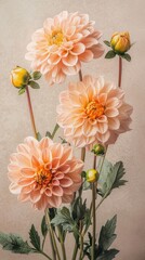Still life displaying mexican dahlias and marigolds in soft hues