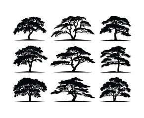 Yew Tree Silhouette Set in Vector Format
