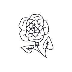 Hand drawn black and white outlined doodle rose flower. Simple monochrome floral sketch. Abstract botanical element.