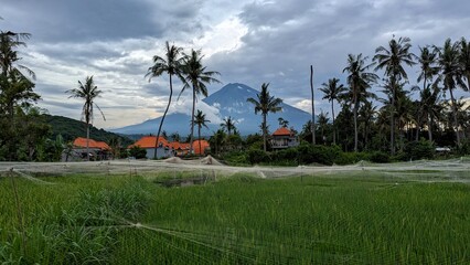 Obraz premium Scenic view of Mt Agung volcano, rice paddy fields, and local houses in Amed, Bali Indonesia