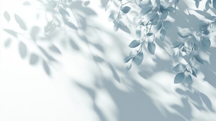 Serene botanical composition featuring soft light and shadows of eucalyptus leaves creating a calming and elegant atmosphere ideal for minimalist design and peaceful backgrounds