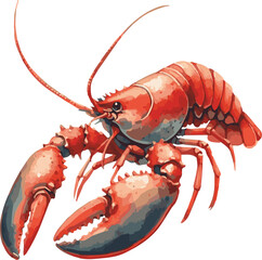 Watercolor illustration of a lobster
