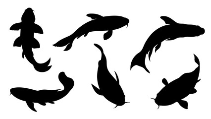 set of koi fish silhouette vector on tranparent background