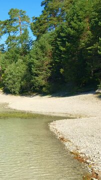 Crystal clear lake water at Urisee in the Austrian Alps, tranquil alpine shore and forest landscape in summer light