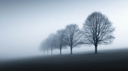 Bare trees emerging from fog in a serene winter landscape