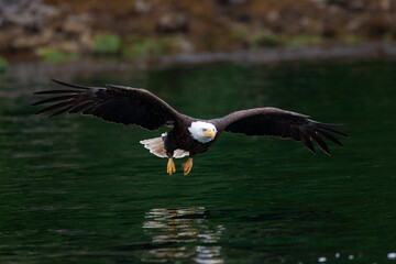 Obraz premium Ile de Vancouver Canada