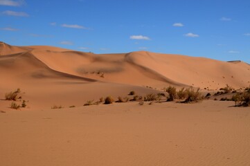 Expansive dry Desert Landscape with Rolling Sand Dunes in Namibia