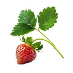 A single ripe strawberry with green leaves attached. It is perfectly positioned on a white background, ready to be used in your next culinary creation or design project