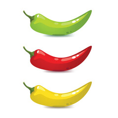 Colorful Chili Peppers Vector Illustration Display