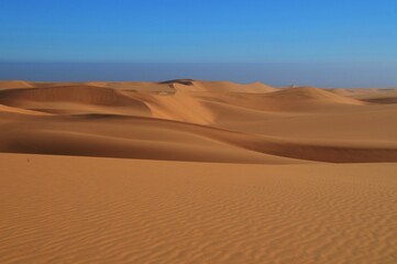 Expansive dry Desert Landscape with Rolling Sand Dunes in Namibia
