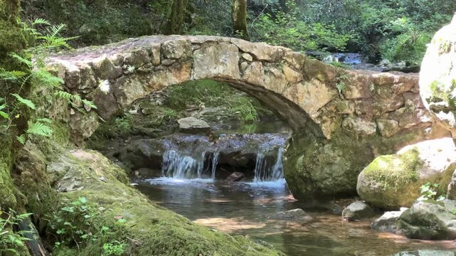 Video horizontale d'une petite cascade avec un pont en pierre dans une for&ecirc;t en 4k