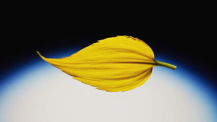 A single yellow flower suspended in mid-air above a blue background