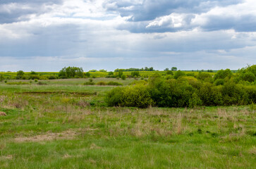 Fototapeta premium A moody rural landscape capturing natural textures, seasonal weather, and the quiet atmosphere before rainfall.