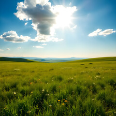 Obraz premium Wide open space of sunlight