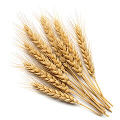 Wheat Grain Harvest Agriculture Golden Field Crop Food Isolated