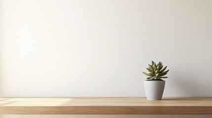 Minimalistic workspace featuring succulent plant on wooden shelf