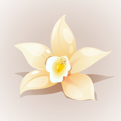 Vanilla Flower vector cartoon illustration isolated on white background.
