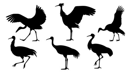 set of bustard bird silhouette