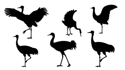 set of bustard bird silhouette