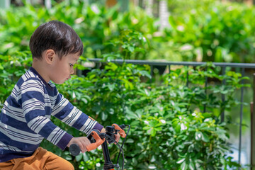 Little boy riding on a bicycle in summer. Little boy sit on the bike at park. Copy Space.