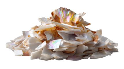 Iridescent shell fragments: A captivating image featuring a close-up of a pile of iridescent shell fragments, showcasing intricate details and texture.