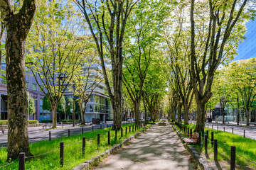 新緑の杜の都仙台を歩く
