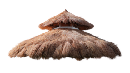 Thatched Roof: The detailed texture of a traditional thatched roof, offering a unique perspective on its craftsmanship, construction, and the rustic charm it provides.