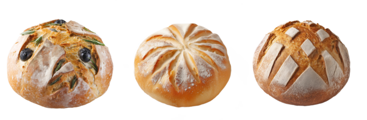 French artisan round country bread boules with decorative scoring and toppings like olives and rosemary, isolated on transparent background, perfect for bakery branding and food packaging design